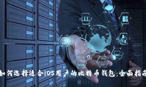 如何选择适合iOS用户的比特币钱包：全面指南