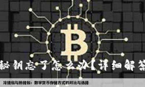 小狐狸钱包秘钥忘了怎么办?详细解答与解决方案