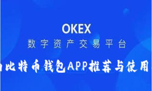 国内比特币钱包APP推荐与使用指南