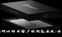 如何应对比特币客户端钱