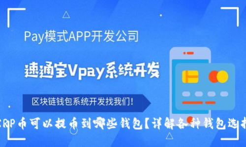  XRP币可以提币到哪些钱包？详解各种钱包选择 