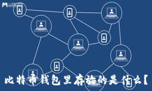  
比特币钱包里存放的是什么？
