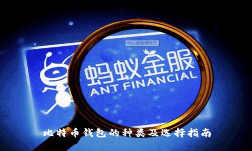 比特币钱包的种类及选择指南