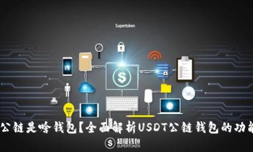 : USDT公链是啥钱包？全面解析USDT公链钱包的功能与使用