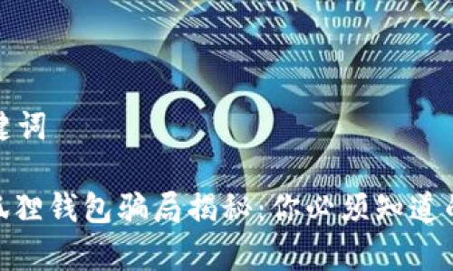 和关键词

: 小狐狸钱包骗局揭秘：你必须知道的真相