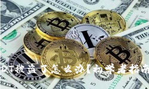 麦子钱包USDT被盗了怎么办？初学者指南与应对措施