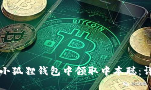 如何在小狐狸钱包中领取中本聪：详细指南