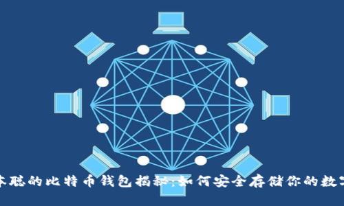 : 中本聪的比特币钱包揭秘：如何安全存储你的数字资产