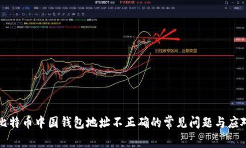 解决比特币中国钱包地址不正确的常见问题与应对策略