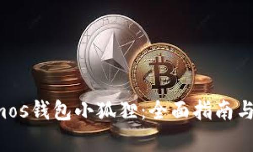 如何使用Cosmos钱包小狐狸：全面指南与常见问题解答