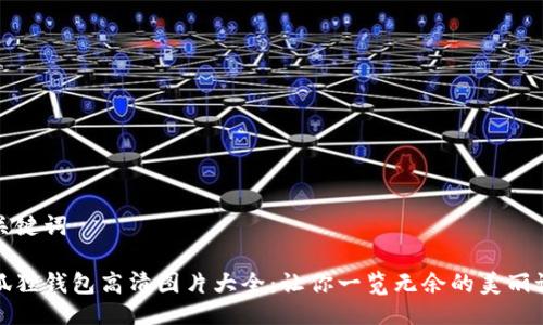 与关键词

小狐狸钱包高清图片大全：让你一览无余的美丽设计