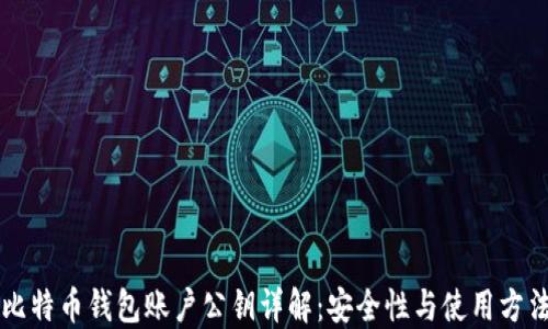 
比特币钱包账户公钥详解：安全性与使用方法