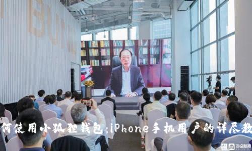 如何使用小狐狸钱包：iPhone手机用户的详尽教程