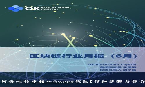 : 如何将比特币转入Quppy钱包？详细步骤与操作指南