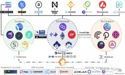 以下是您请求的内容：

比特币现金钱包客户端的全面指南