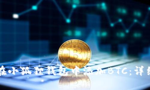 如何在小狐狸钱包中添加BTC：详细指南