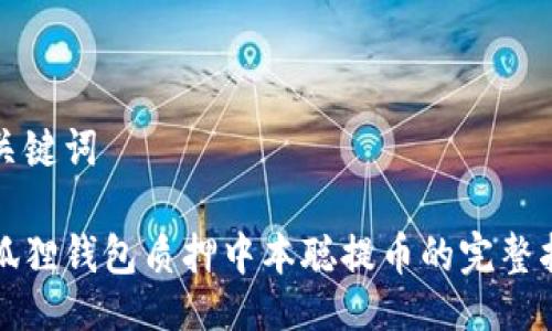 与关键词

小狐狸钱包质押中本聪提币的完整指南