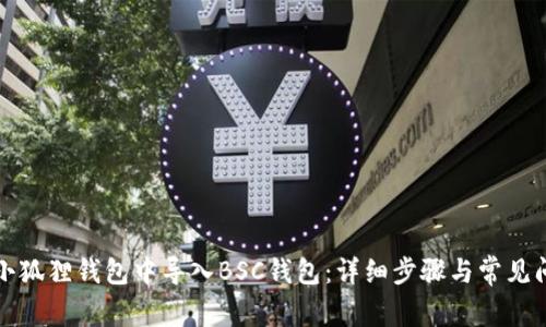 如何在小狐狸钱包中导入BSC钱包:详细步骤与常见问题解答