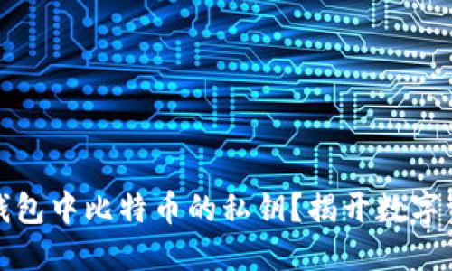 如何查看在线钱包中比特币的私钥？揭开数字资产的神秘面纱
