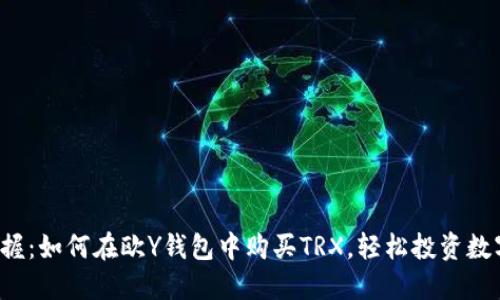 轻松掌握：如何在欧Y钱包中购买TRX，轻松投资数字货币！