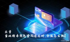 文章当比特币钱包密码遗