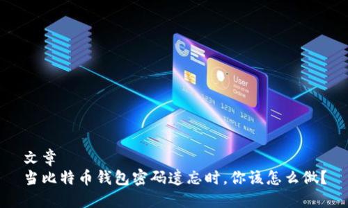 文章
当比特币钱包密码遗忘时,你该怎么做?