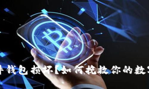 比特币硬件钱包损坏？如何挽救你的数字资产危机