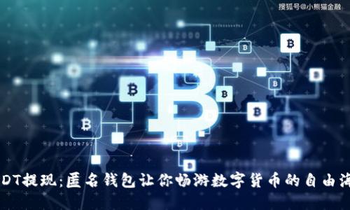 USDT提现：匿名钱包让你畅游数字货币的自由海洋