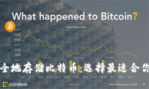 如何安全地存储比特币：选择最适合你的钱包