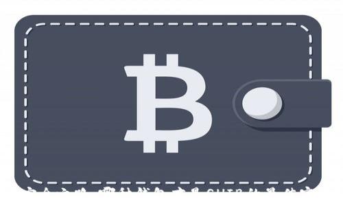 探索安全之路:哪种钱包才是SHIB的最佳守护者?