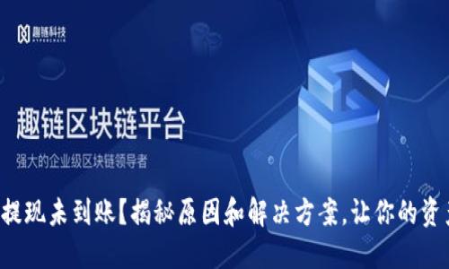 小狐狸钱包提现未到账？揭秘原因和解决方案，让你的资产安全无忧！
