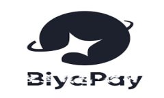 : 揭秘！USDT的独立钱包：