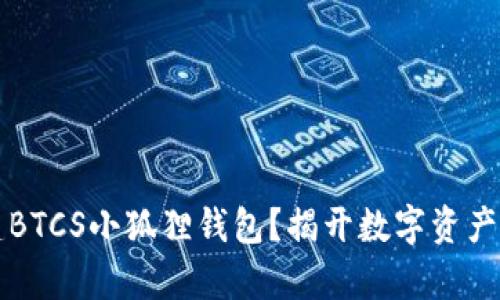 如何轻松创建BTCS小狐狸钱包?揭开数字资产管理的新篇章
