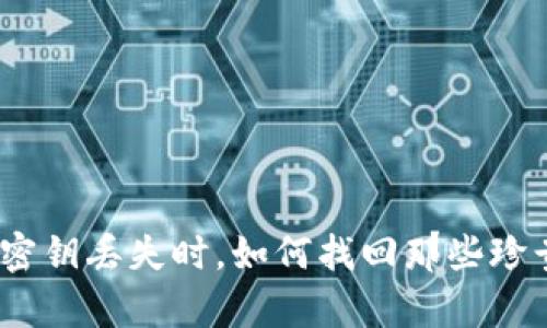 当MetaMask密钥丢失时，如何找回那些珍贵的数字资产？