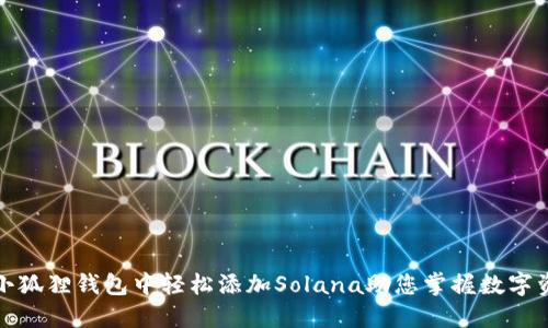 : 如何在小狐狸钱包中轻松添加Solana助您掌握数字资产的未来
