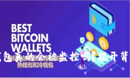 比特币钱包真的会被监控吗？揭开背后的真相