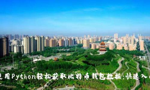 如何使用Python轻松获取比特币钱包数据：快速入门指南