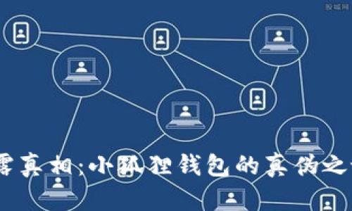 揭露真相：小狐狸钱包的真伪之谜 