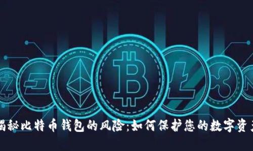 揭秘比特币钱包的风险：如何保护您的数字资产