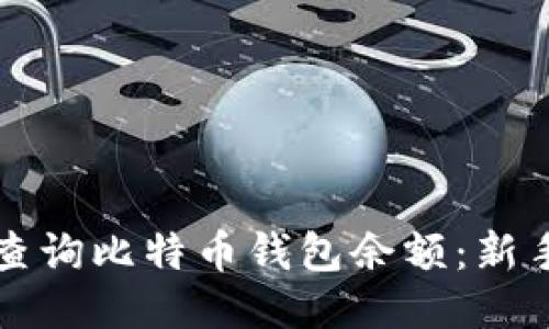 如何轻松查询比特币钱包余额:新手必看指南
