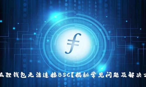 小狐狸钱包无法连接BSC?揭秘常见问题及解决方案