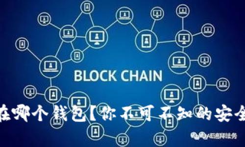 SHIB币存在哪个钱包？你不可不知的安全储存技巧！