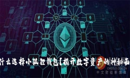 为什么选择小狐狸钱包?揭开数字资产的神秘面纱!