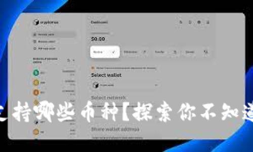 MetaMask钱包支持哪些币种？探索你不知道的数字资产世界