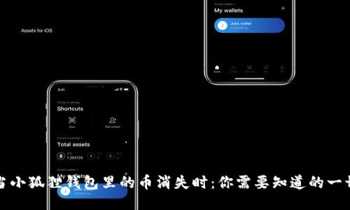 《当小狐狸钱包里的币消失时：你需要知道的一切》