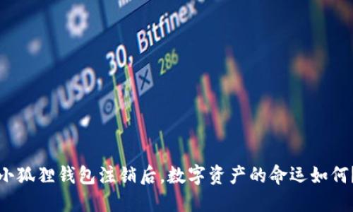 小狐狸钱包注销后，数字资产的命运如何？
