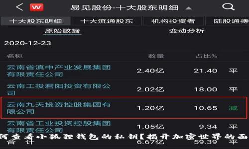 如何查看小狐狸钱包的私钥?揭开加密世界的面纱!