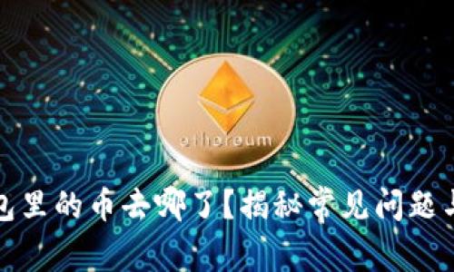 小狐狸钱包里的币去哪了?揭秘常见问题与解决方案