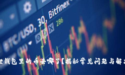 小狐狸钱包里的币去哪了?揭秘常见问题与解决方案
