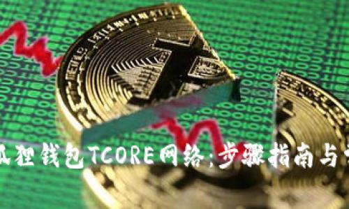 轻松设置小狐狸钱包TCORE网络：步骤指南与常见问题解答
